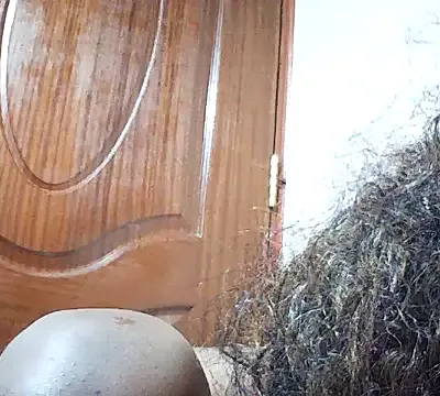 Zilpah_