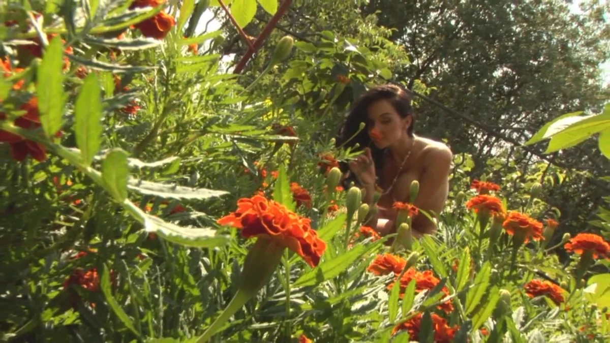 background forMetArt