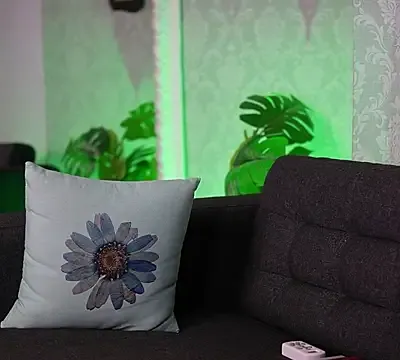AriaPlay