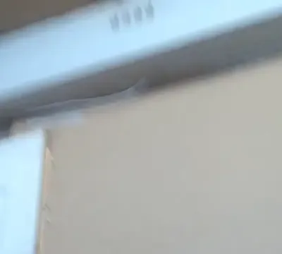 Ebonyboobsmilk
