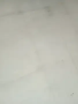 sweetchubbz