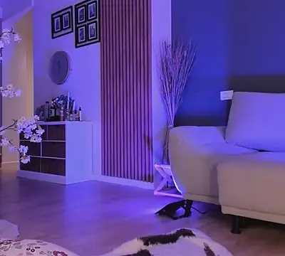 lexira1n