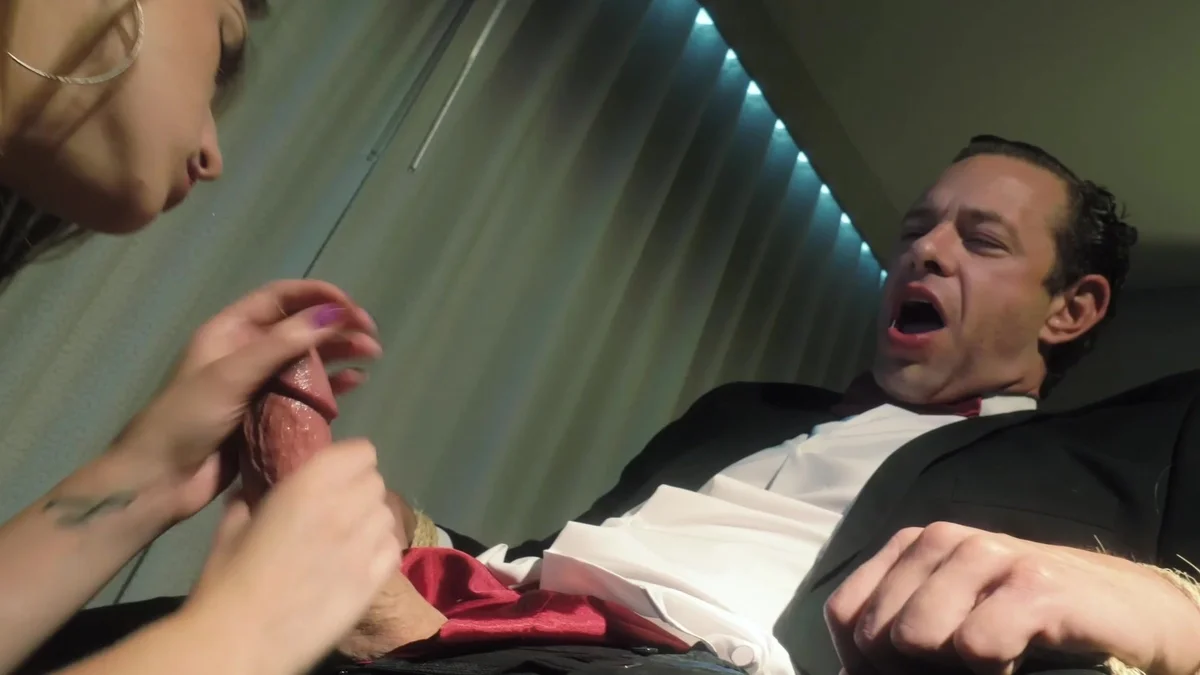 background forTop Web Models