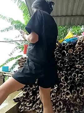 Hoa-tuylip