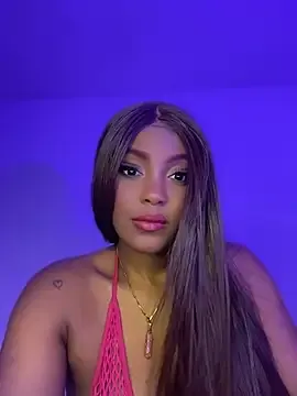 zaracollins01