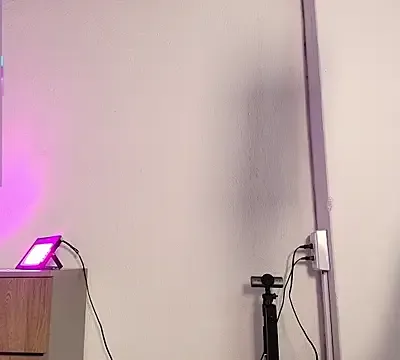 Teasedolll
