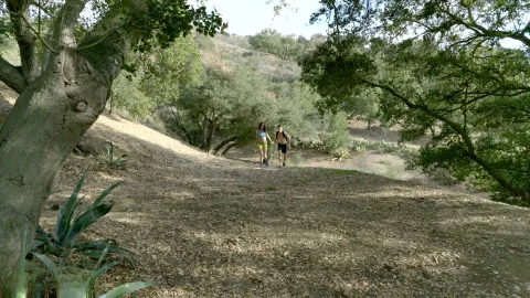 Club Sandy: Mila's Woodland Whoring Adventure