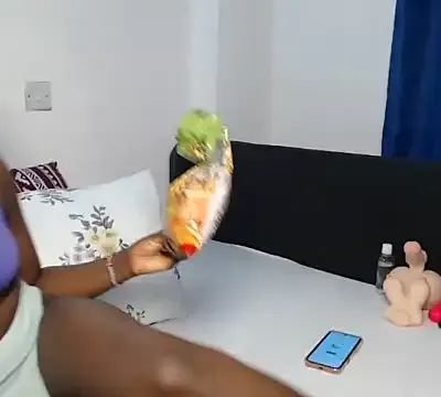 The_nuser