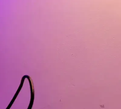 Violetaa_diazz
