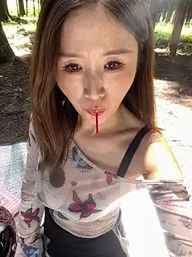 qin205205
