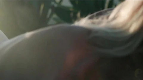 ToughLoveX: My Van, The Ultimate Seduction Tool