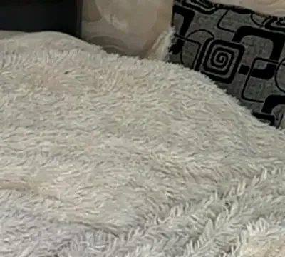 TanaDeschaine