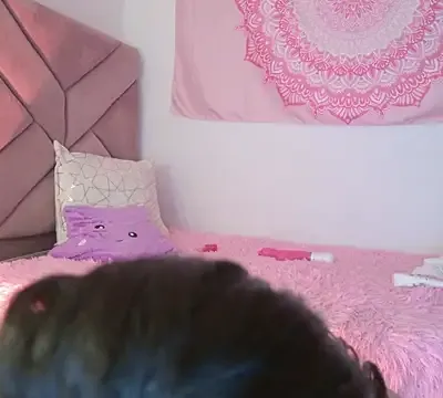 eva_sin18
