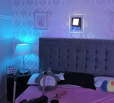 kitticam
