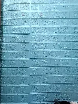 AmyLinee01