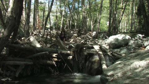 third world media: Pleasuring Under The Trees