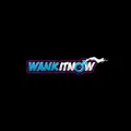 WankItNow avatar