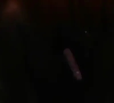 Goldy_petite