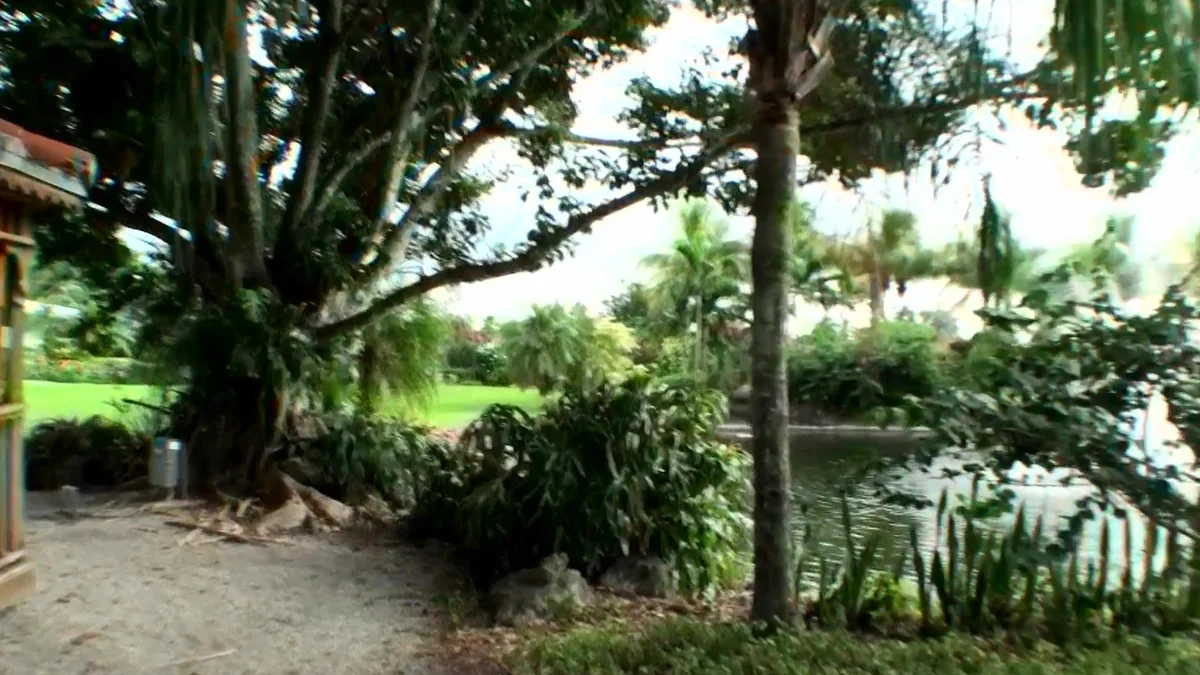 background forRealityKings