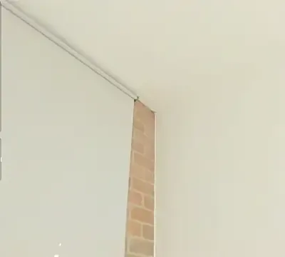 Dakota_ferreti_