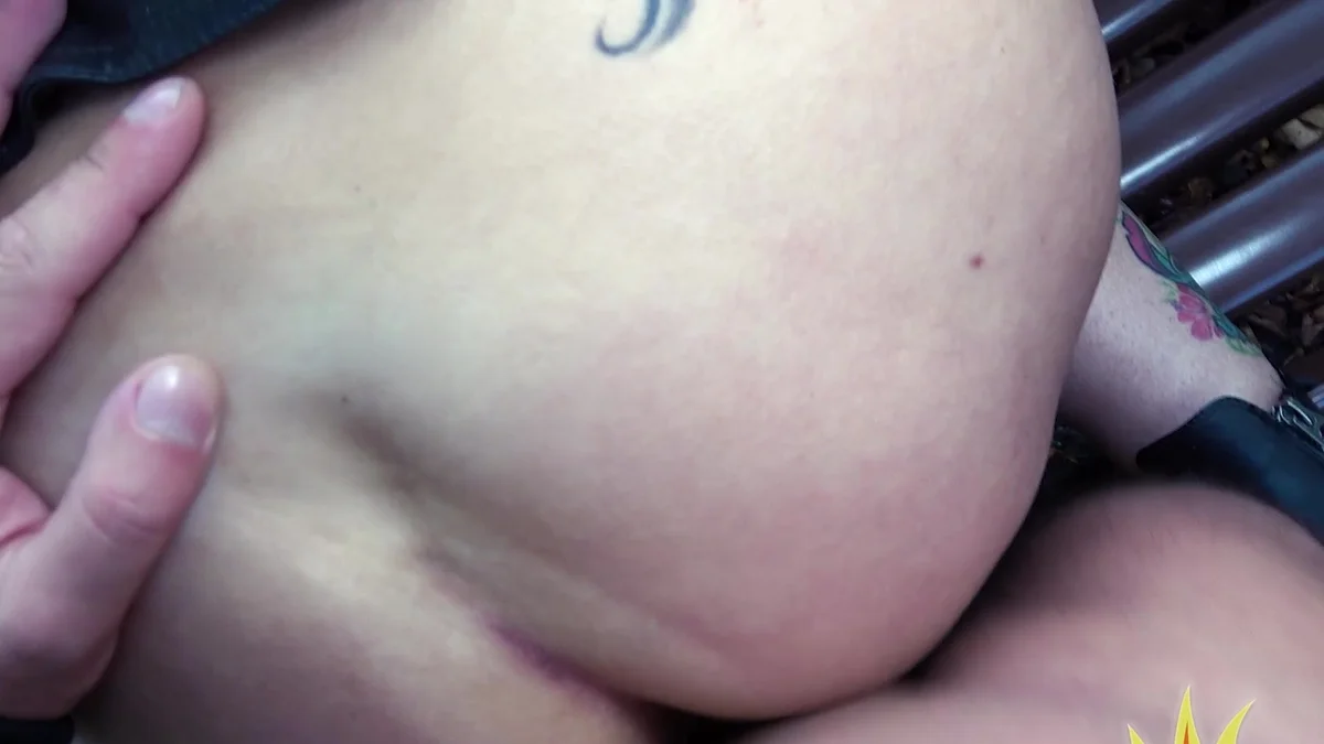 background forFullPornNetwork