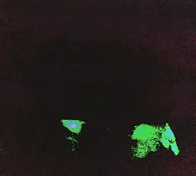 DripDiva
