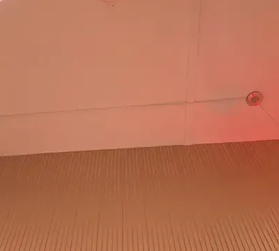 VioletSinclair_