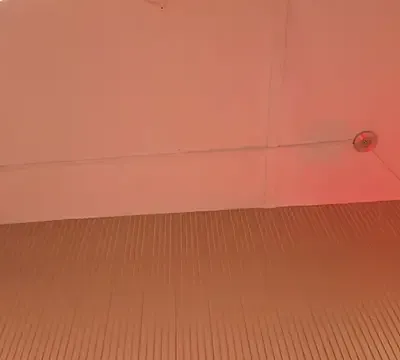 VioletSinclair_