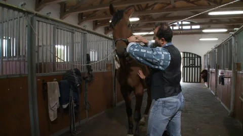 platinum x pictures: Bucking for Billy's Big Boner