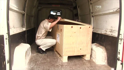 video art holland: Sarah's Arrival