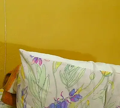 Mollybrookexx