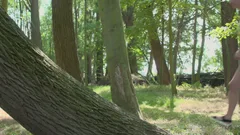 video art holland: Nature's Playground for Two