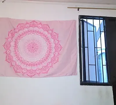 eva_sin18