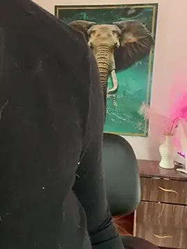 alisaa_jhons1