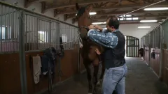 platinum x pictures: Bucking for Billy's Big Boner