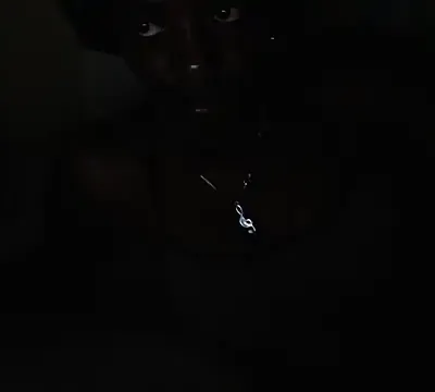 zeina_gen