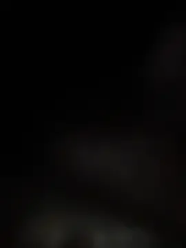 Susan_Voltaire_