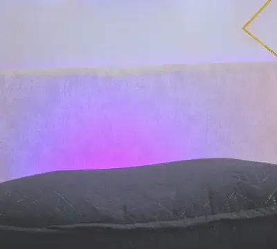 Sammi_Evanns