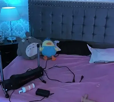kitticam