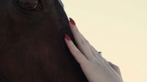 EvilAngel: Sizzling Farmland Adventure with Misha Cross