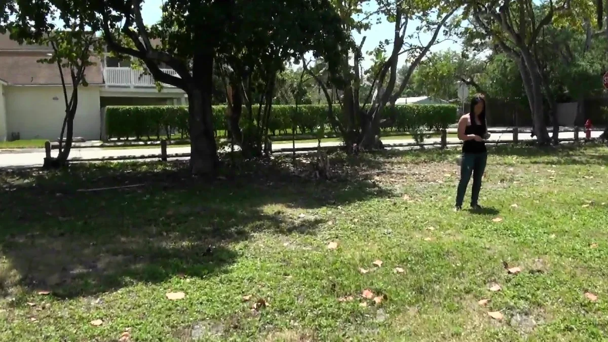 background forRealityKings