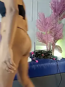 Nalapalmer