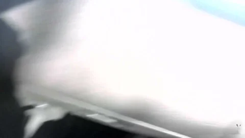Reality Kings: Milf-Beacon: The Ultimate Wake-Up Call