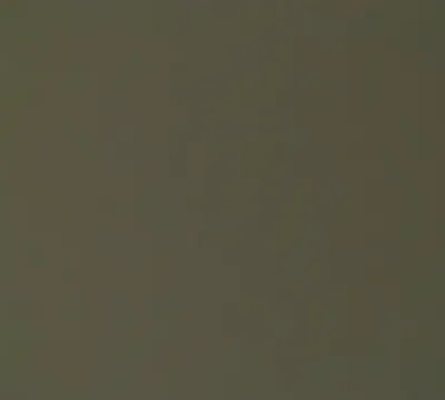 Mad4DickX