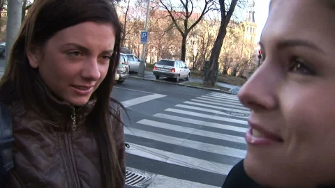 video art holland: Brandy and Monika's Wild Ride