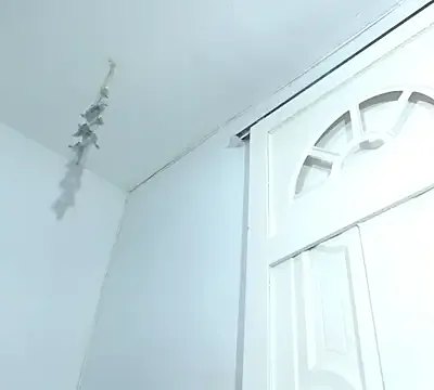 Squirter_pussybomb