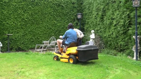 video art holland: Backfilled and Satisfied in Bloom