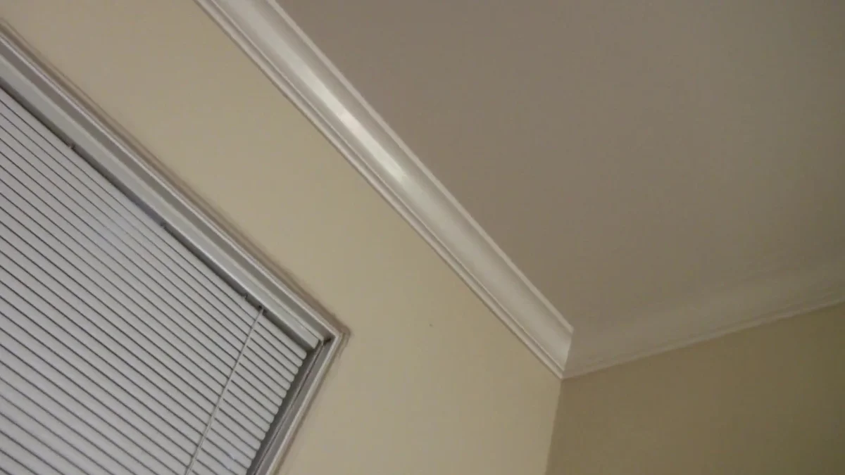 background forMOFOS