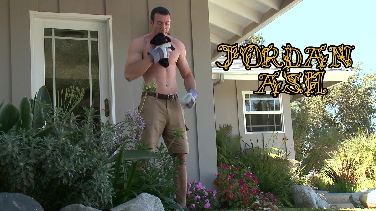 background forBrazzers