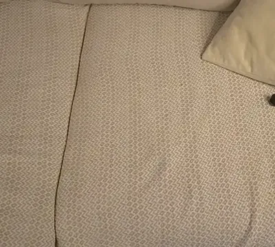 BambyDreams